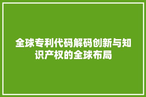 全球专利代码解码创新与知识产权的全球布局