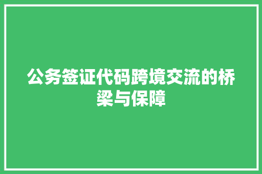 公务签证代码跨境交流的桥梁与保障