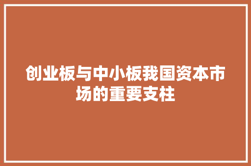 创业板与中小板我国资本市场的重要支柱