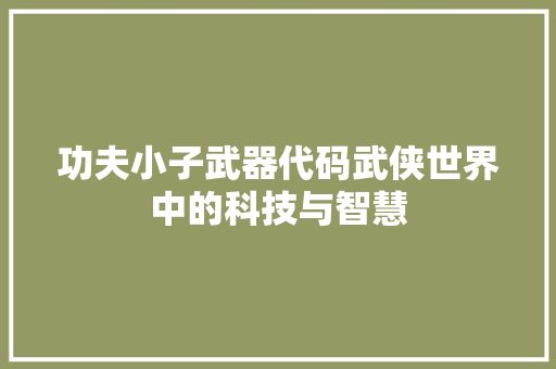 功夫小子武器代码武侠世界中的科技与智慧