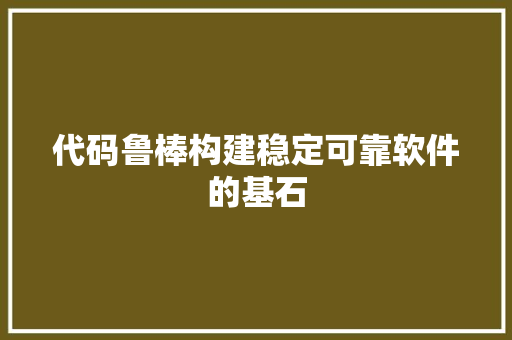 代码鲁棒构建稳定可靠软件的基石