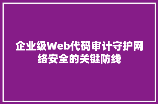企业级Web代码审计守护网络安全的关键防线