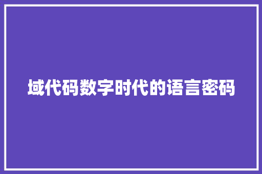 域代码数字时代的语言密码