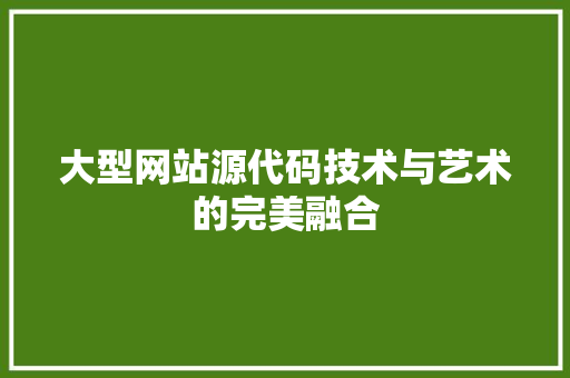 大型网站源代码技术与艺术的完美融合