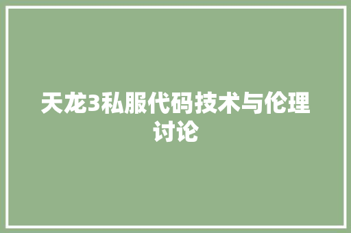 天龙3私服代码技术与伦理讨论