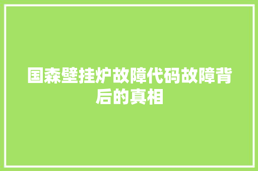 国森壁挂炉故障代码故障背后的真相