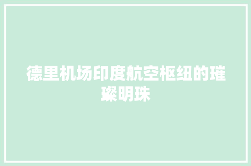 德里机场印度航空枢纽的璀璨明珠