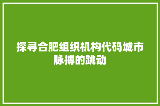 探寻合肥组织机构代码城市脉搏的跳动