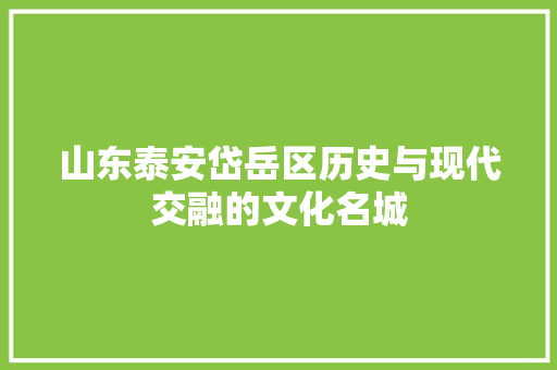 山东泰安岱岳区历史与现代交融的文化名城