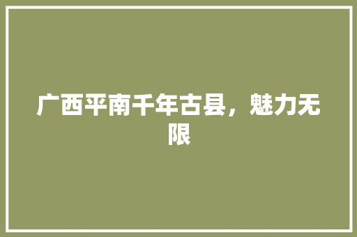 广西平南千年古县，魅力无限