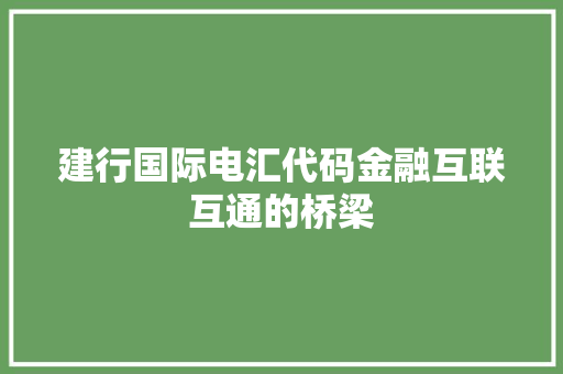建行国际电汇代码金融互联互通的桥梁