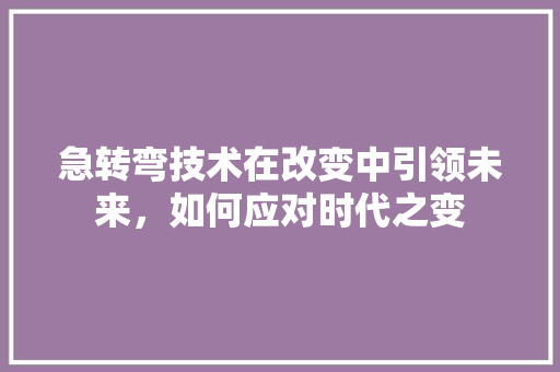 急转弯技术在改变中引领未来，如何应对时代之变