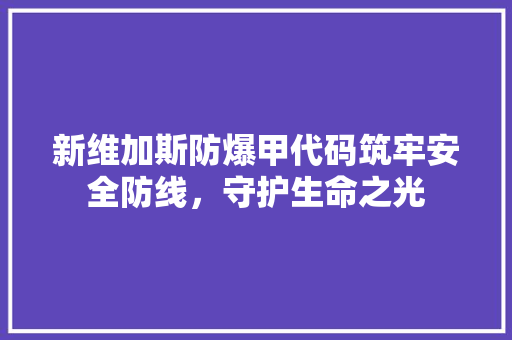 新维加斯防爆甲代码筑牢安全防线，守护生命之光