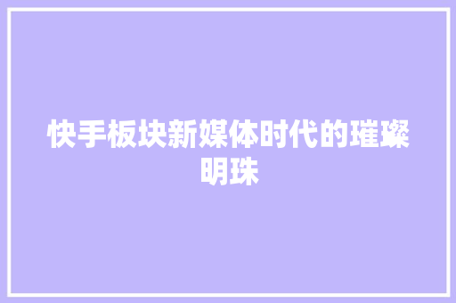 快手板块新媒体时代的璀璨明珠