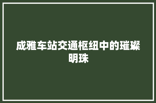 成雅车站交通枢纽中的璀璨明珠