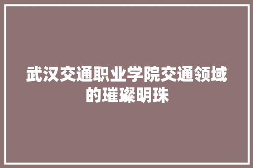 武汉交通职业学院交通领域的璀璨明珠