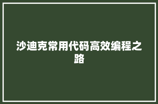 沙迪克常用代码高效编程之路
