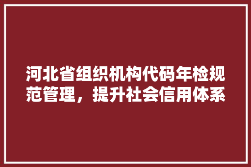 河北省组织机构代码年检规范管理，提升社会信用体系效能