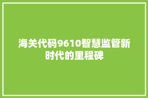 海关代码9610智慧监管新时代的里程碑