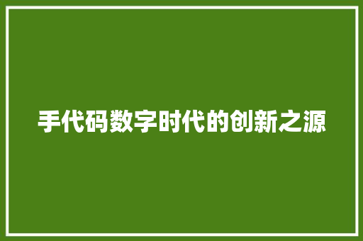 手代码数字时代的创新之源