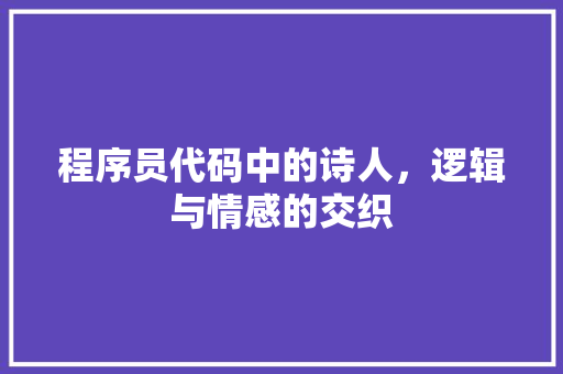 程序员代码中的诗人，逻辑与情感的交织