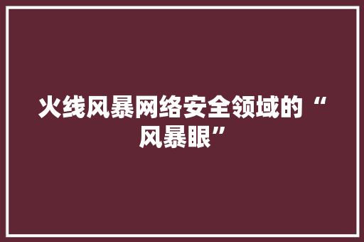 火线风暴网络安全领域的“风暴眼”