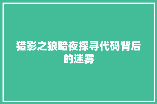 猎影之狼暗夜探寻代码背后的迷雾