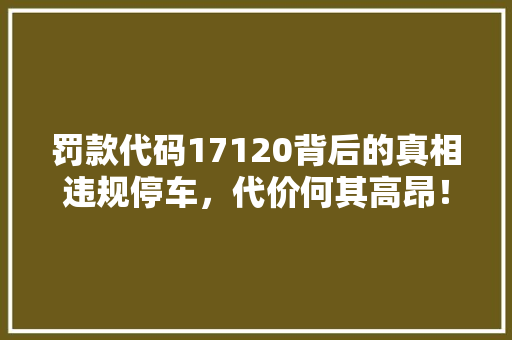 罚款代码17120背后的真相违规停车，代价何其高昂！