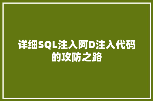 详细SQL注入阿D注入代码的攻防之路