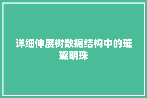 详细伸展树数据结构中的璀璨明珠