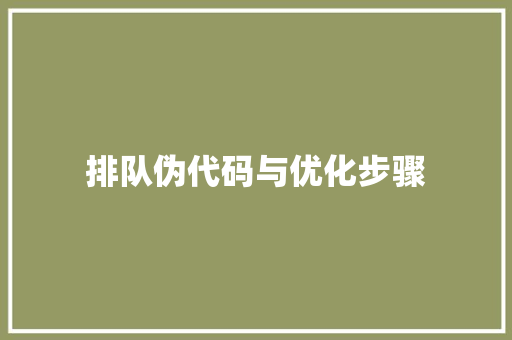 排队伪代码与优化步骤