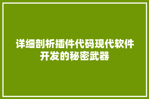 详细剖析插件代码现代软件开发的秘密武器