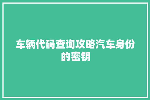 车辆代码查询攻略汽车身份的密钥