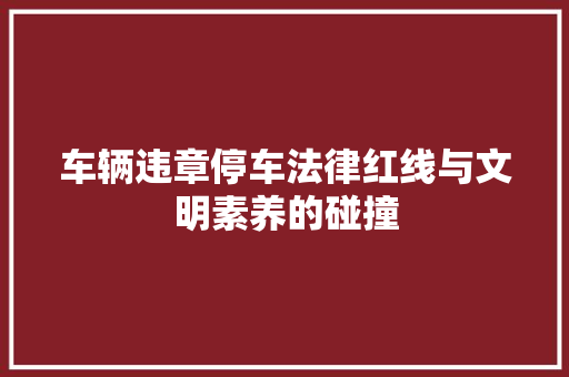 车辆违章停车法律红线与文明素养的碰撞