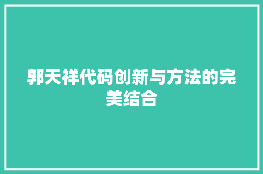 郭天祥代码创新与方法的完美结合
