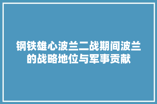 钢铁雄心波兰二战期间波兰的战略地位与军事贡献