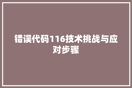 错误代码116技术挑战与应对步骤
