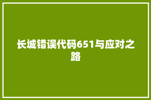 长城错误代码651与应对之路