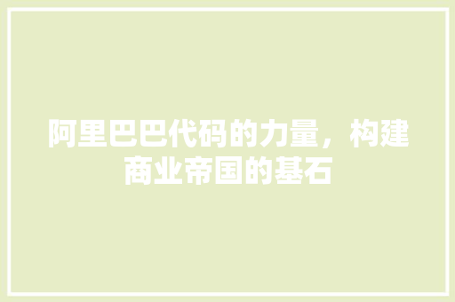 阿里巴巴代码的力量，构建商业帝国的基石