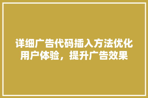 详细广告代码插入方法优化用户体验，提升广告效果