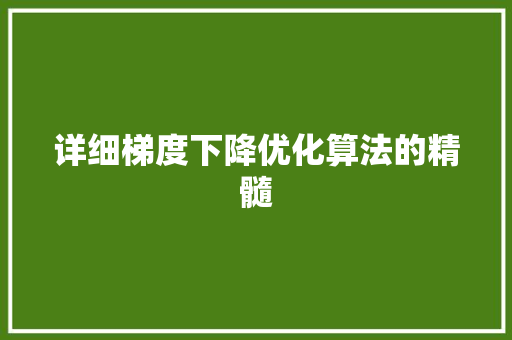 详细梯度下降优化算法的精髓