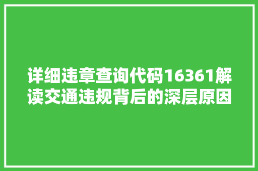 详细违章查询代码16361解读交通违规背后的深层原因与对策  第1张