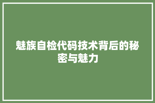 魅族自检代码技术背后的秘密与魅力