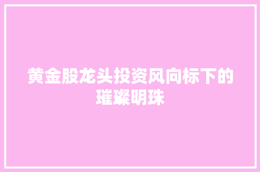 黄金股龙头投资风向标下的璀璨明珠
