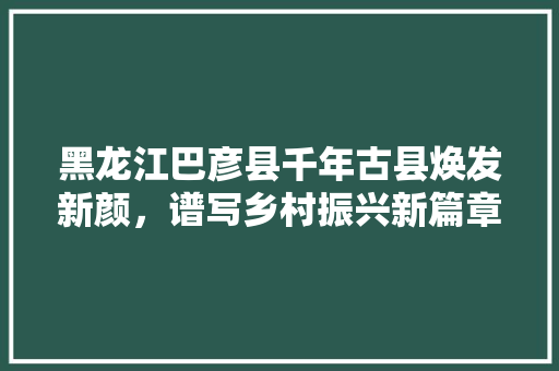 黑龙江巴彦县千年古县焕发新颜，谱写乡村振兴新篇章