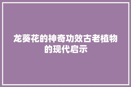 龙葵花的神奇功效古老植物的现代启示