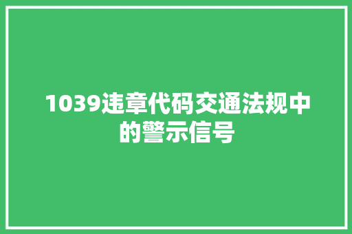 1039违章代码交通法规中的警示信号