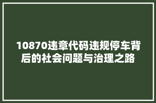 10870违章代码违规停车背后的社会问题与治理之路