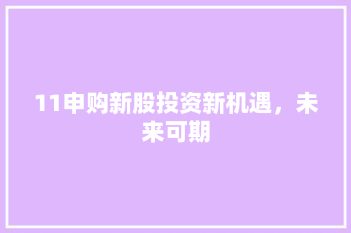 11申购新股投资新机遇，未来可期