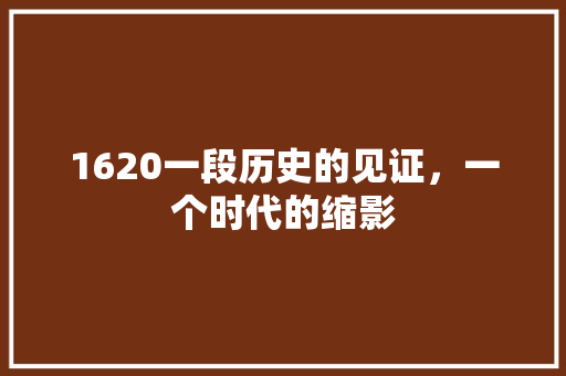 1620一段历史的见证，一个时代的缩影
